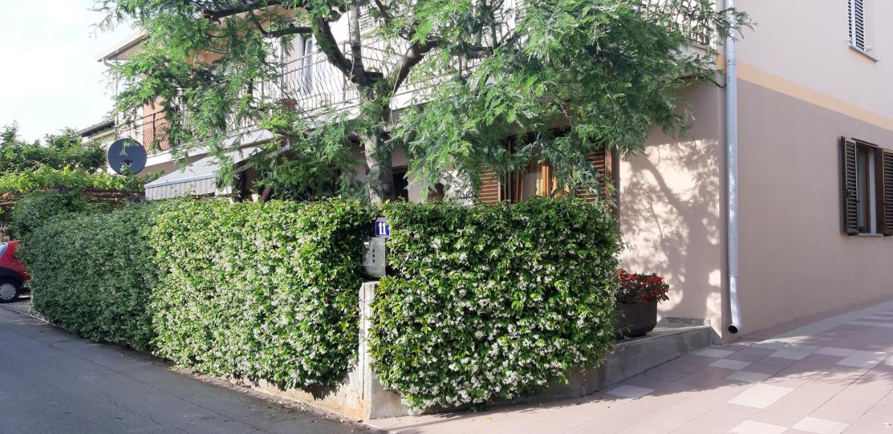 Apartman Oliver Novigrad Istria Exteriér fotografie
